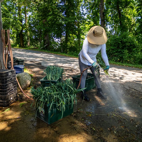 Become an Apprentice