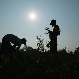 Rendition object (273)